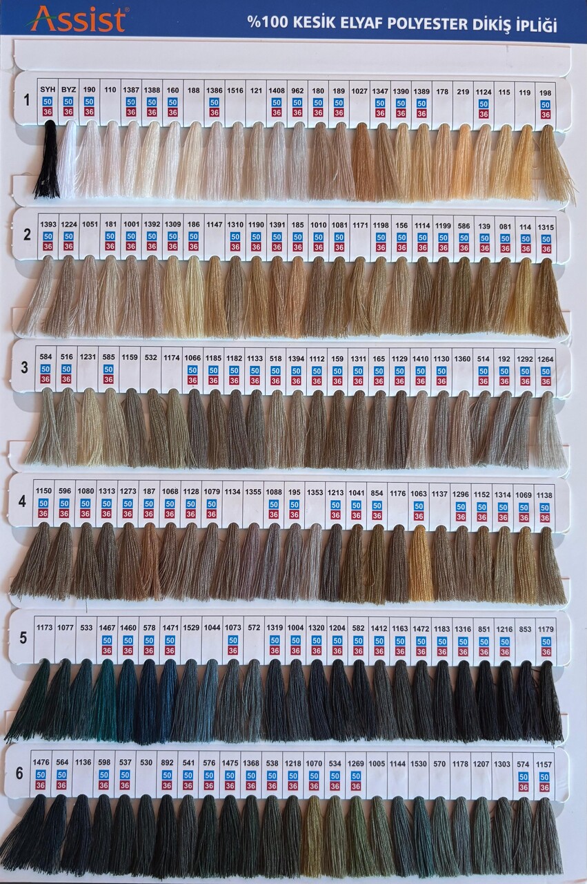 Asist Dikiş İpliği