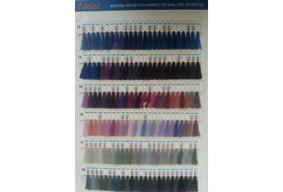 Asist Dikiş İpliği